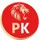 Punjab Kings