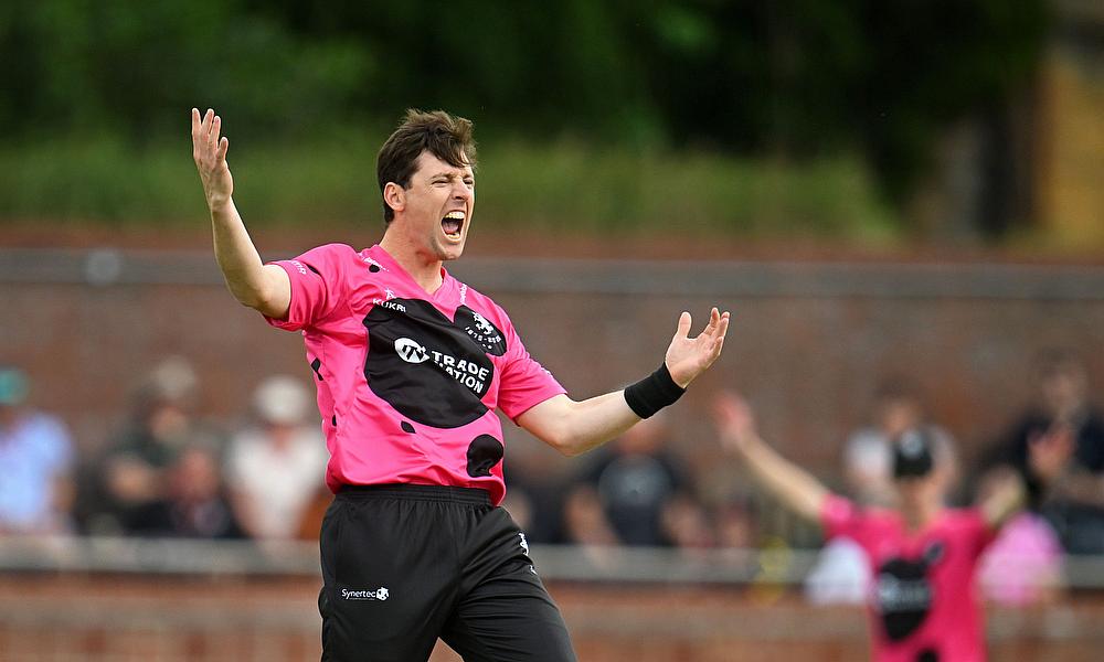 Somerset's Matt Henry